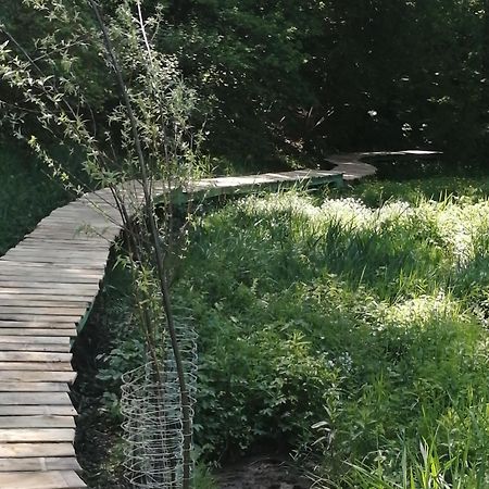 Gite Dix-Huit Les Hayons Bagian luar foto